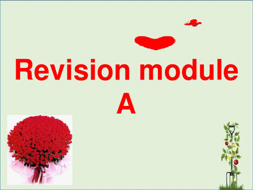 外研版七年级英语上册Revision ModuleA课件 (共21张PPT)