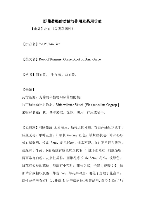 野葡萄根的功效与作用及药用价值