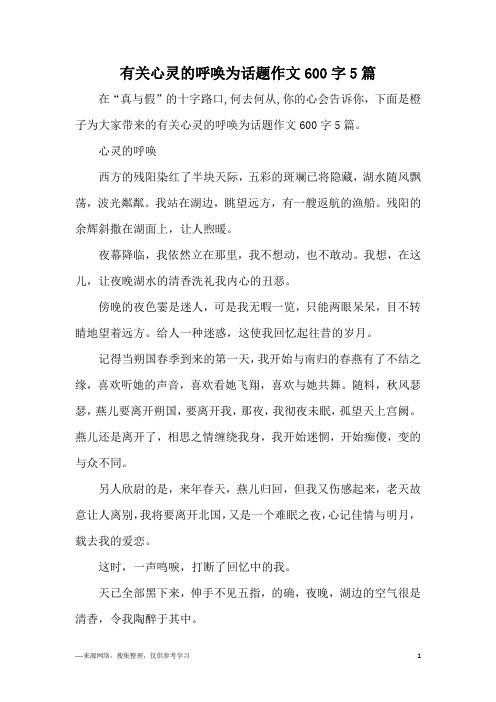 有关心灵的呼唤为话题作文600字5篇