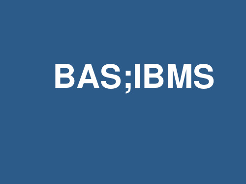 BAS,IBMS概念