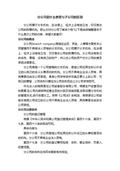 分公司是什么意思与子公司的区别