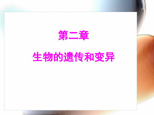 第一节  基因控制生物的性状优秀课件