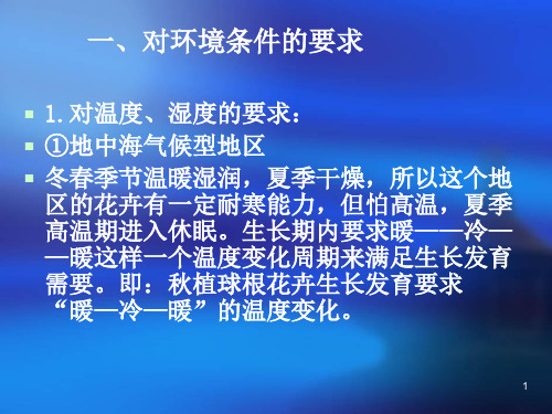 花卉栽培技术球根花卉球根花卉生物学特性能