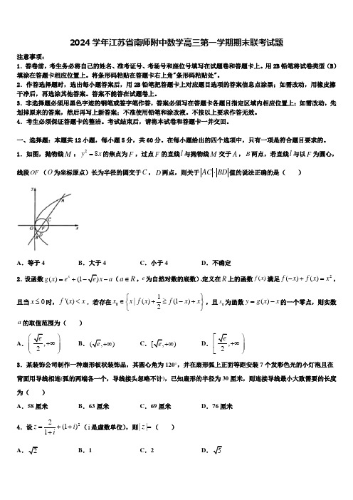 2024学年江苏省南师附中数学高三第一学期期末联考试题含解析