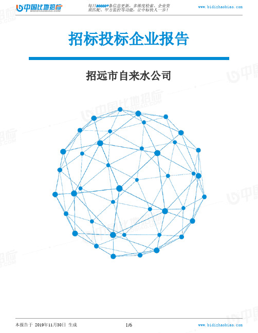 招远市自来水公司-招投标数据分析报告