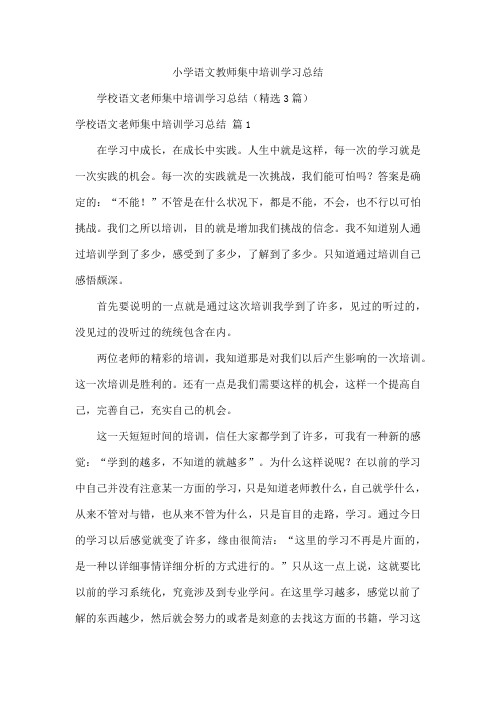 小学语文教师集中培训学习总结