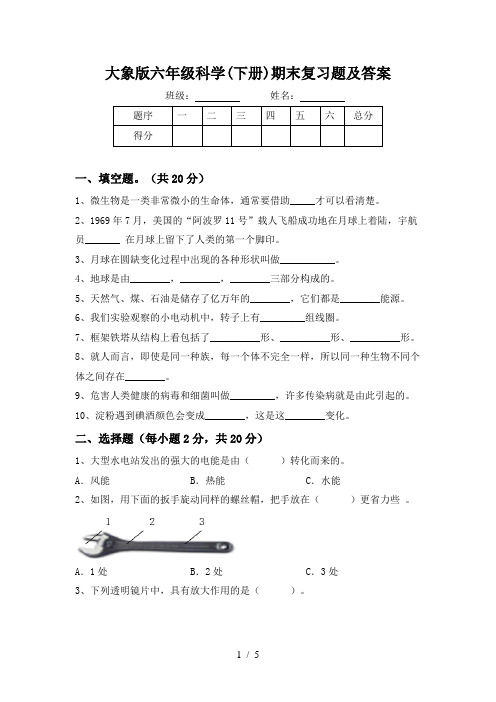 大象版六年级科学(下册)期末复习题及答案