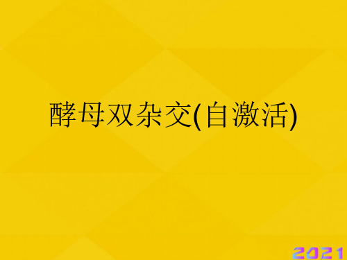 酵母双杂交(自激活)优秀文档