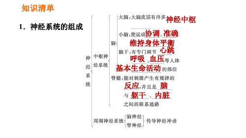 人教版七年级下册生物第六章4.6.2神经系统的组成课件