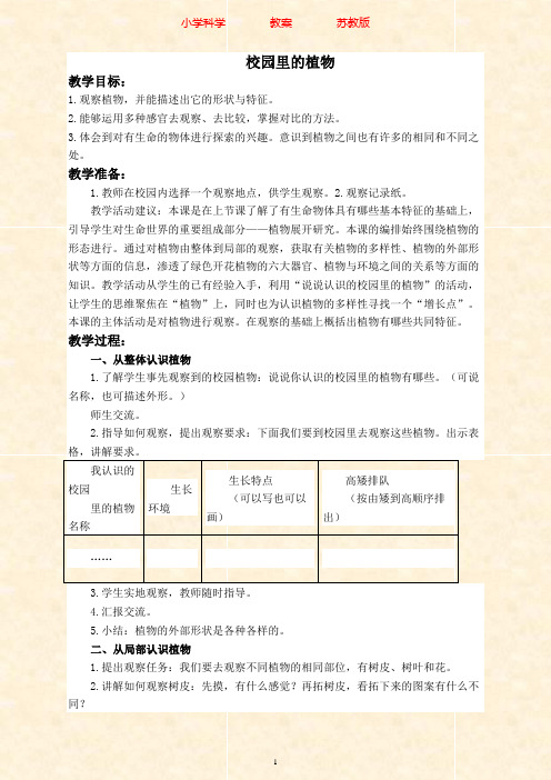 苏教版科学三年级上册教案《04校园里的植物》(1)-附知识点梳理