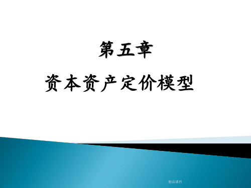 第五章资本资产定价模型复习ppt课件