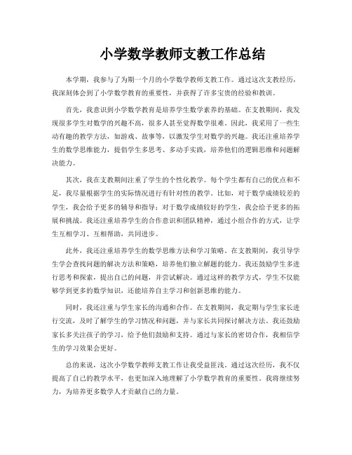 小学数学教师支教工作总结