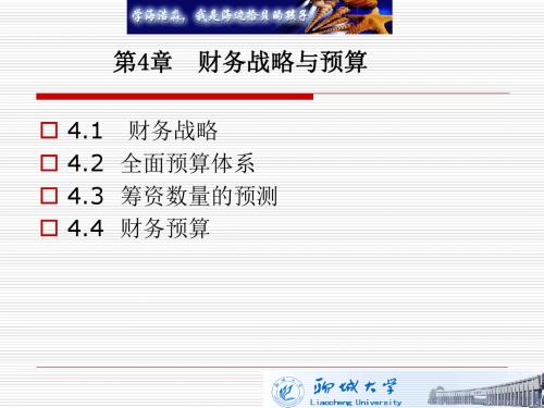 第4章财务战略与预算