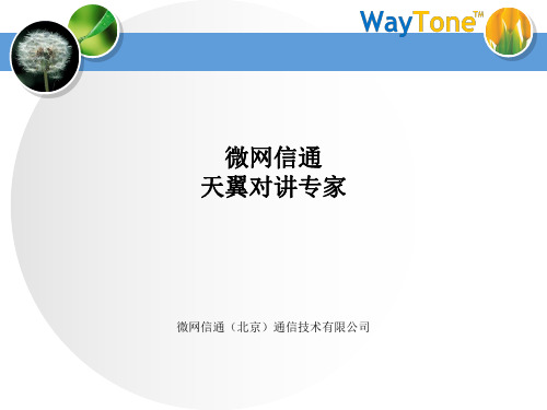 展会资料-WayTone公司与调度台介绍 (1)