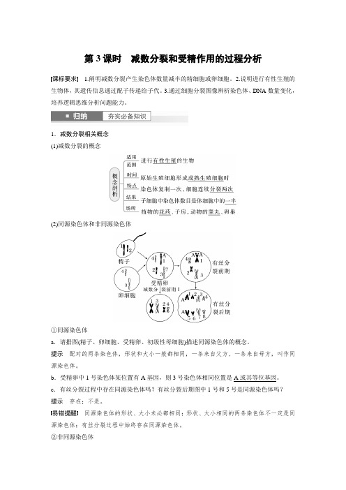 一轮复习教案 第4单元 第3课时 减数分裂和受精作用的过程分析(含答案)