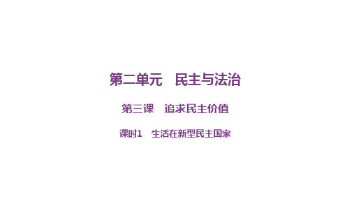 生活在新型民主国家 部编版道德与法治九年级上册 (1)