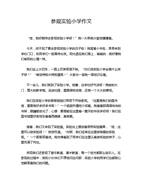 参观实验小学作文