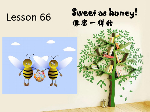 新概念英语第二册 Lesson 66 Sweet as honey!