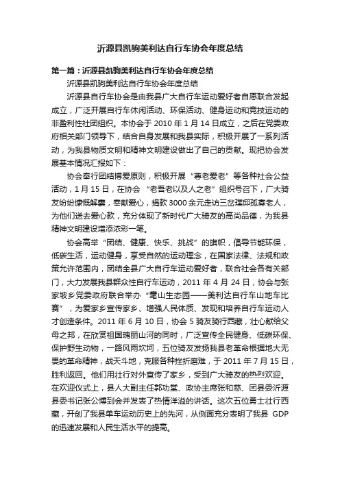 沂源县凯驹美利达自行车协会年度总结