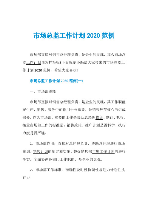 市场总监工作计划2020范例