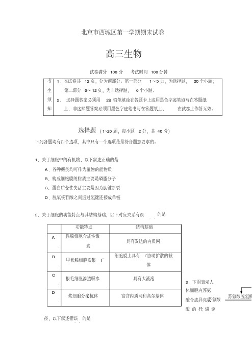 2019-2020年北京市西城区第一学期期末试卷高三生物试卷(有答案)【优质版】