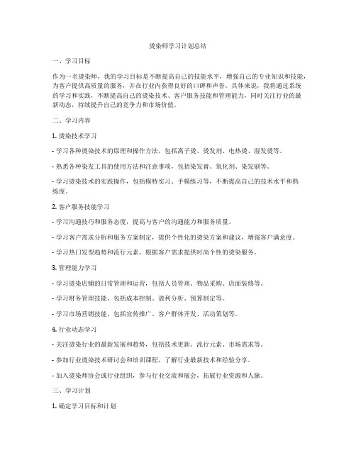 烫染师学习计划总结