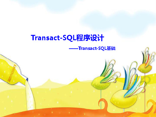 Transact-SQL程序设计——Transact-SQL基础