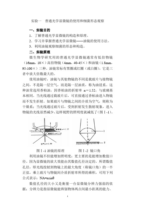 实验一 普通光学显微镜的使用和细菌形态观察