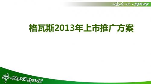 娃哈哈格瓦斯上市推广方案(2013.1)