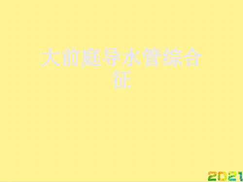 大前庭导水管综合征优品文档