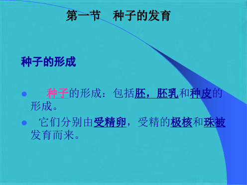 种子的发育、果实的形成及果皮的结构-(植物学)(共86张PPT)【可编辑全文】