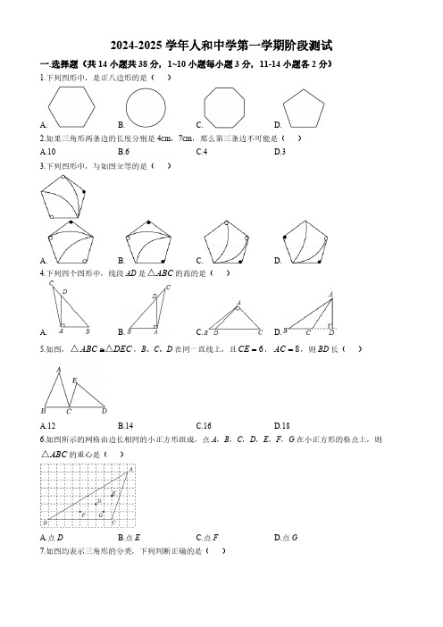 河北省邯郸市人和中学2024~2025学年八年级上学期第一次月考数学试题(含答案)