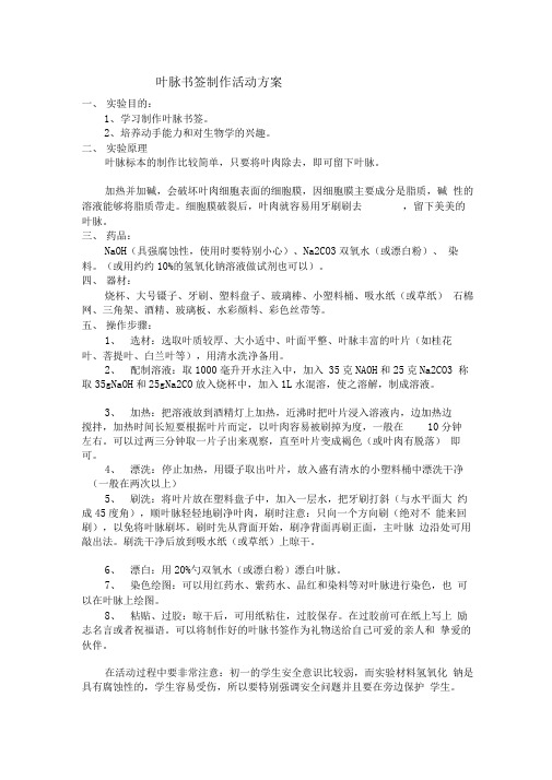 叶脉书签制作活动方案