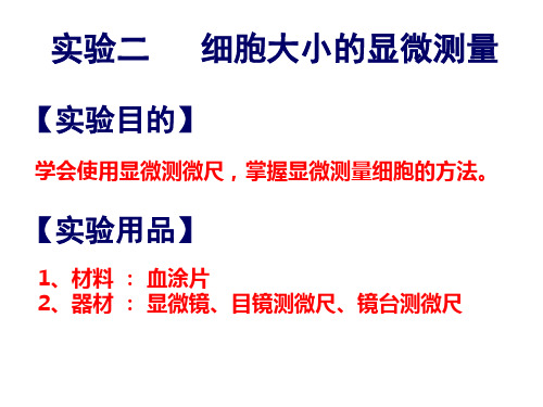 实验二细胞大小的显微测量