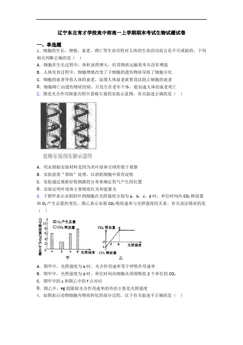 辽宁东北育才学校高中部高一上学期期末考试生物试题试卷