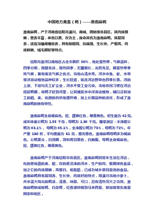 中国地方禽畜（鸭）——淮南麻鸭