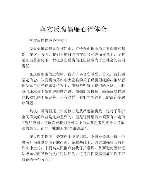 落实反腐倡廉心得体会 (2)