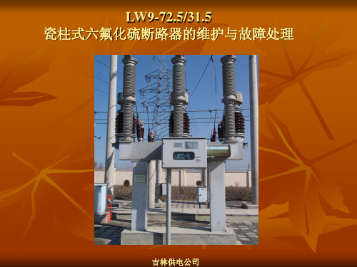 LW9-72.5SF6断路器原理及故障处理参考文档