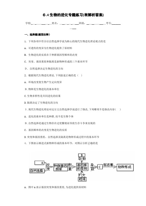 「6.4生物的进化专题练习(有解析答案)」