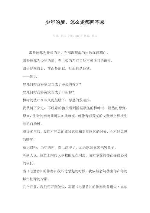 少年的梦，怎么走都回不来600字作文