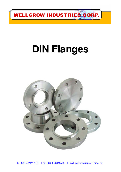 德标法兰尺寸 DIN FLANGE