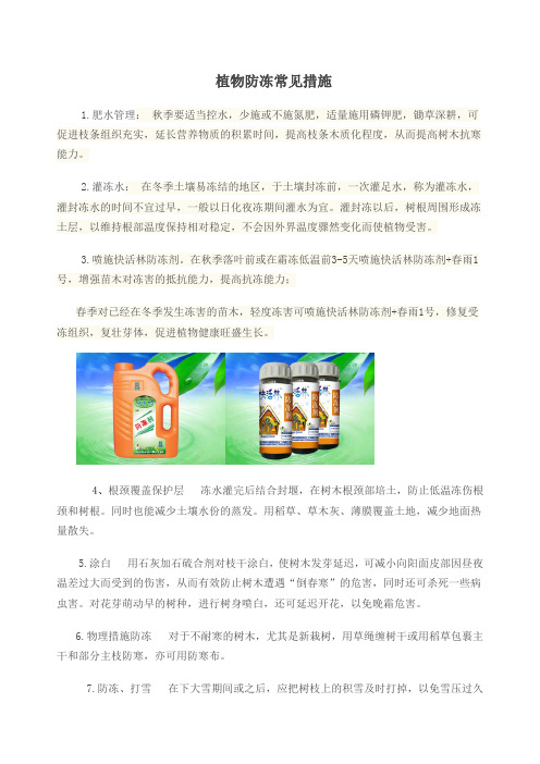 植物防冻常见措施