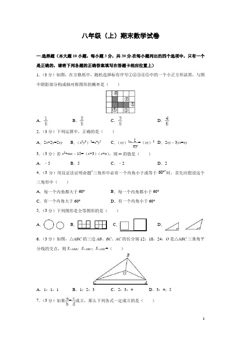 北师大版八年级(上)期末数学试卷(含解析) (4套)