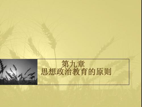 第九章思想政治教育的原则