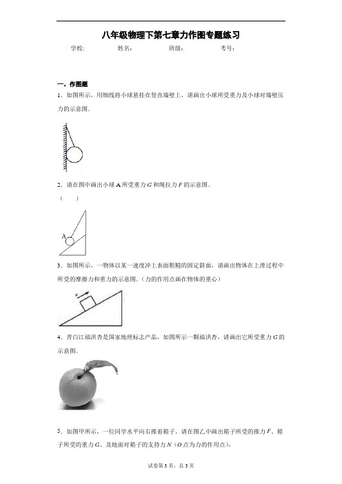 八年级物理下第七章力作图专题练习