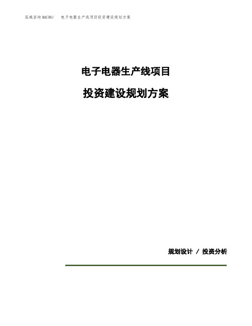 电子电器生产线项目投资建设规划方案(模板)