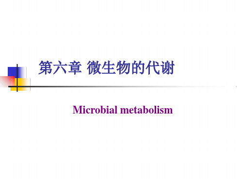 6第六章微生物的代谢