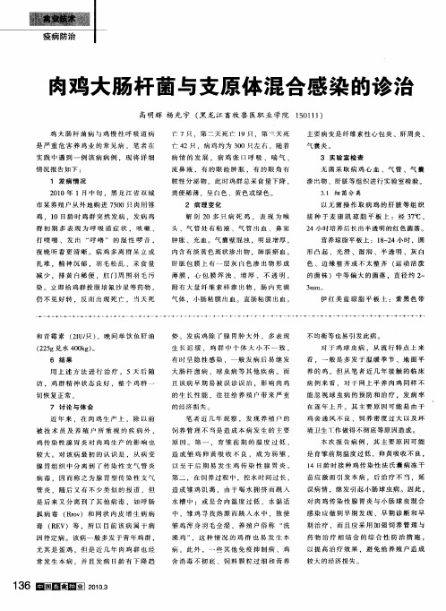 肉鸡大肠杆菌与支原体混合感染的诊治