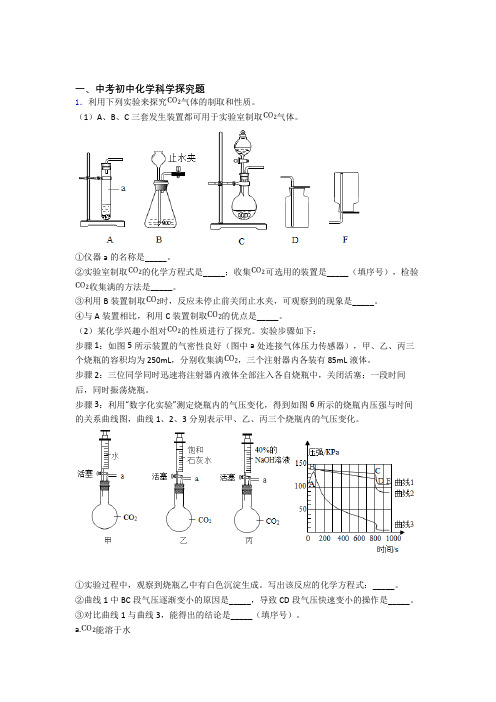 备战中考化学探究题-经典压轴题及答案解析