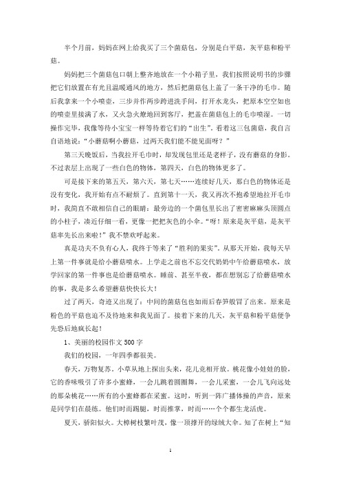 精选蘑菇成长记作文700字